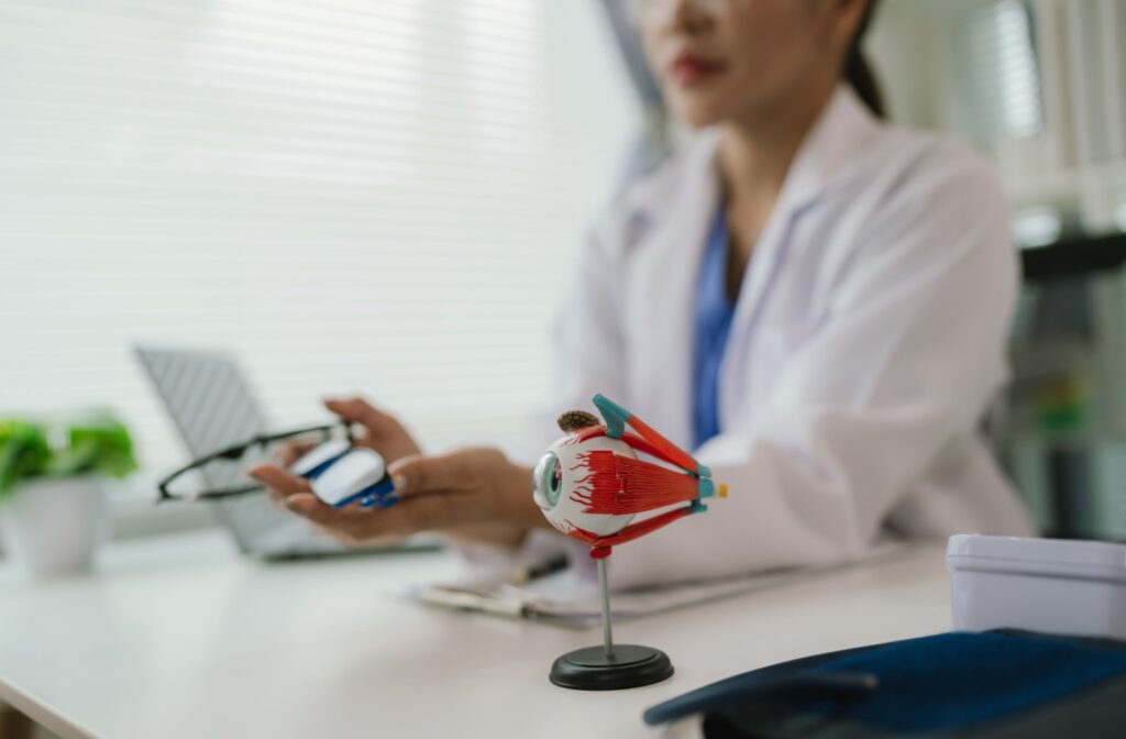 A person in a white lab coat holds a pair of glasses while sitting at a desk with a model of the human eye in the foreground.